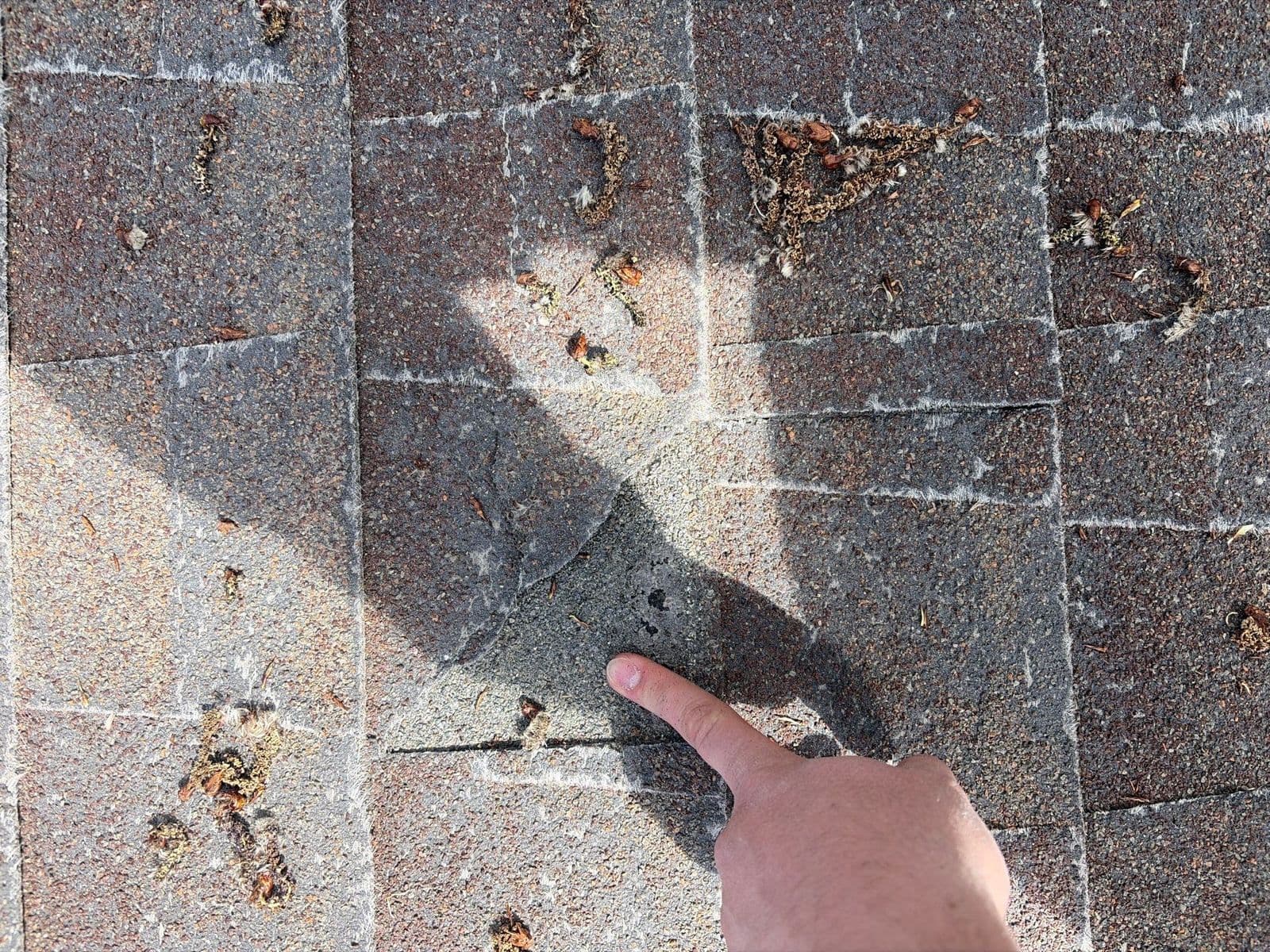 Pointing at a damaged shingle