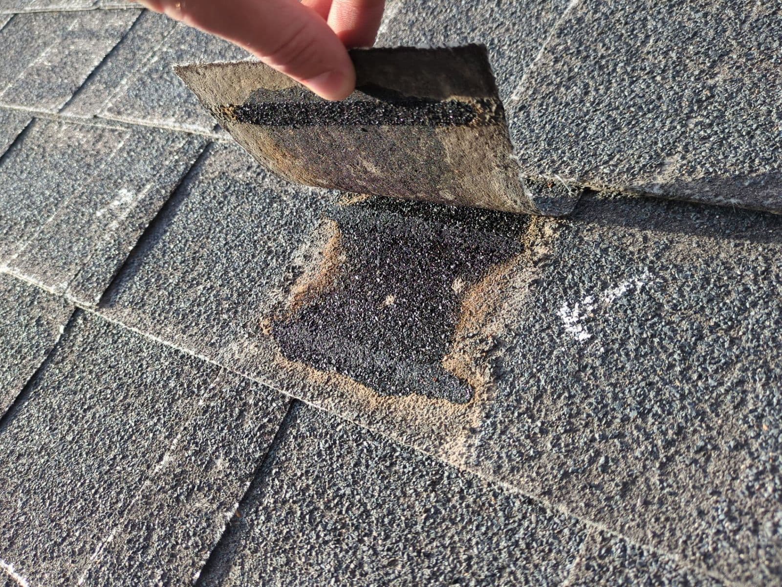 A hand lifting an unsealed shingle tab
