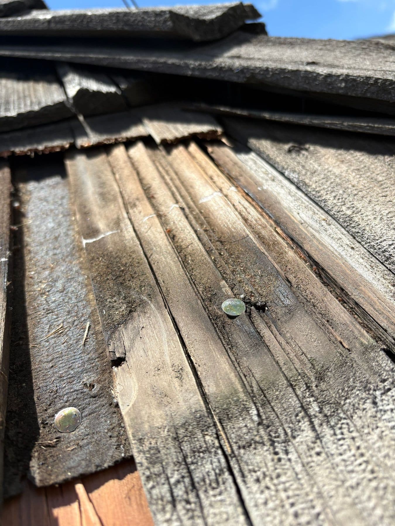 Prying up one shake exposes nails set in brittle, split wood
