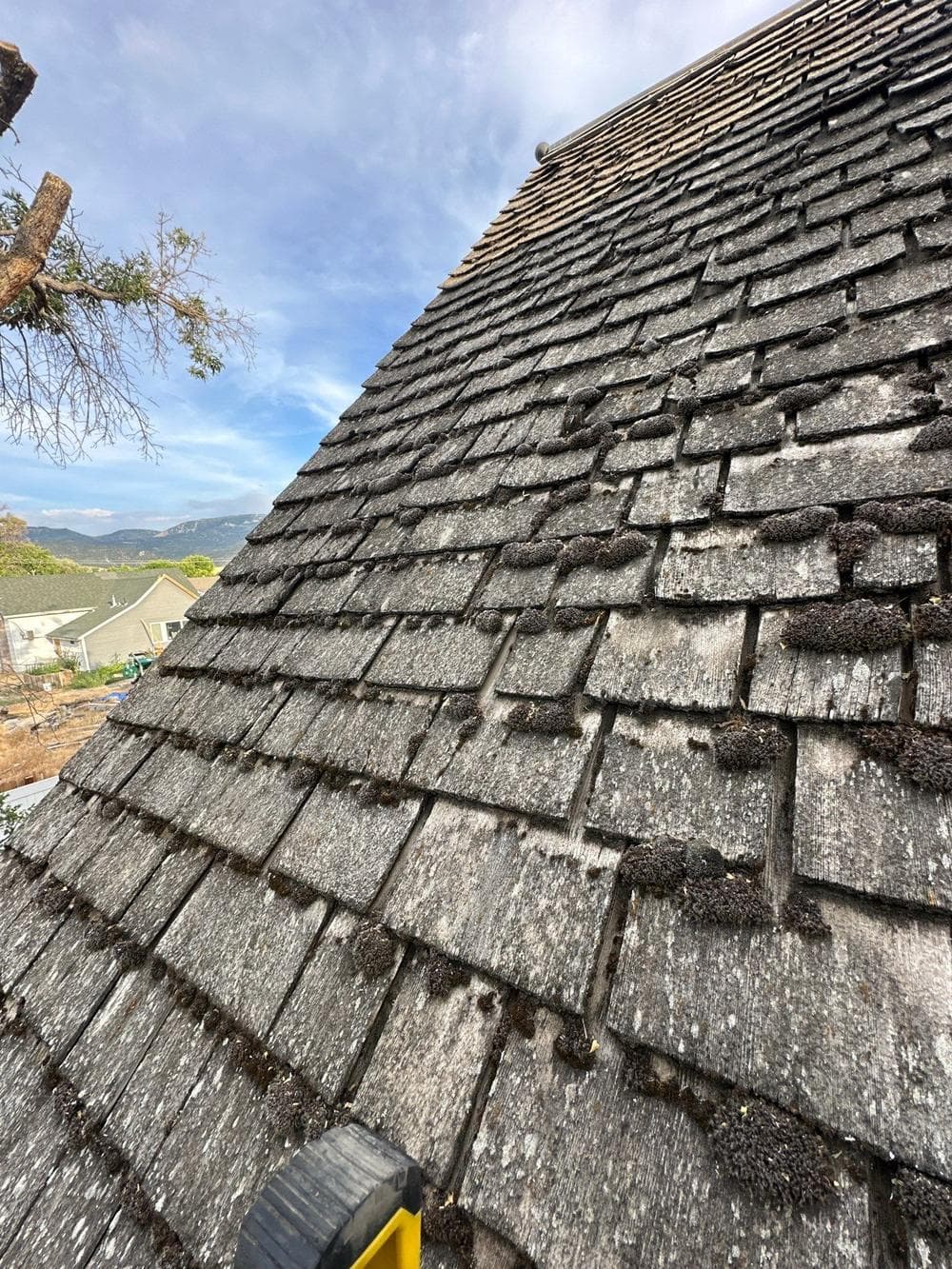 A steep cedar shake roof with curled, weathered shakes, mountains behind